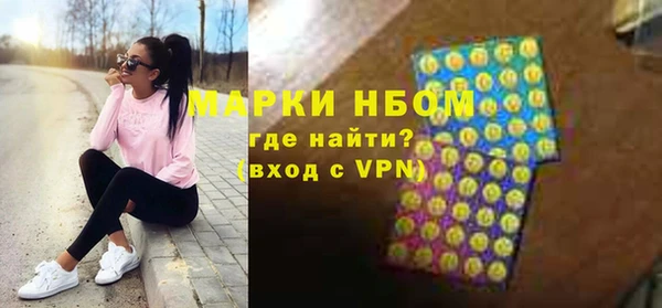 дурь Няндома