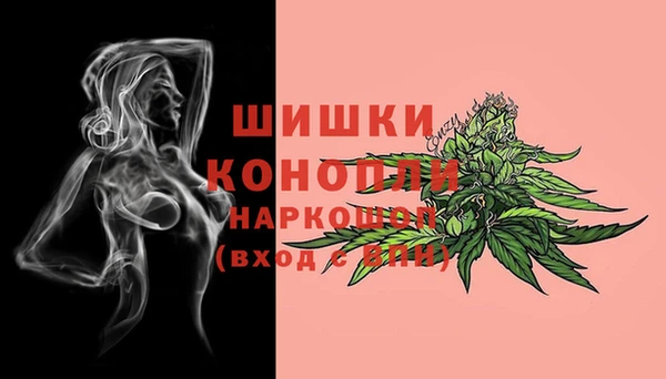 МДПВ Тобольск