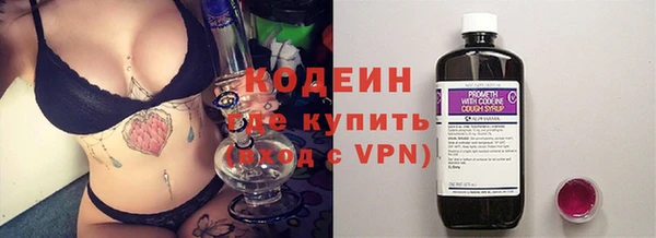 дурь Няндома