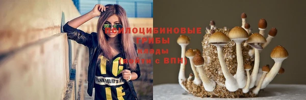стафф Остров