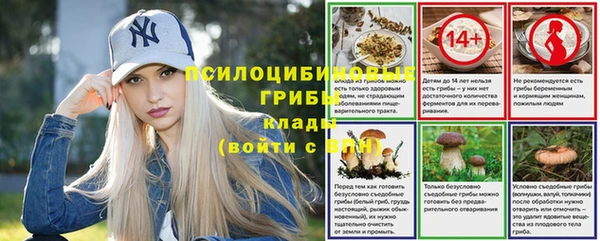 гидра Осташков