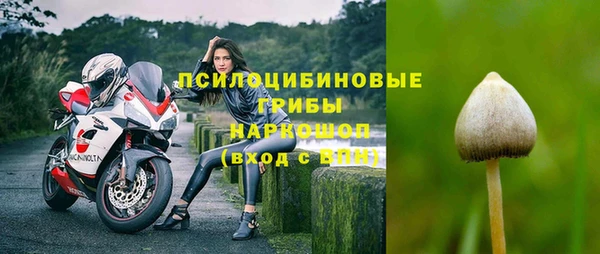 стафф Остров