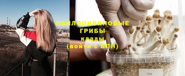амфетамин Осинники